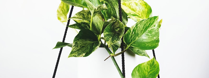 世界杯比赛数据分析图表展示